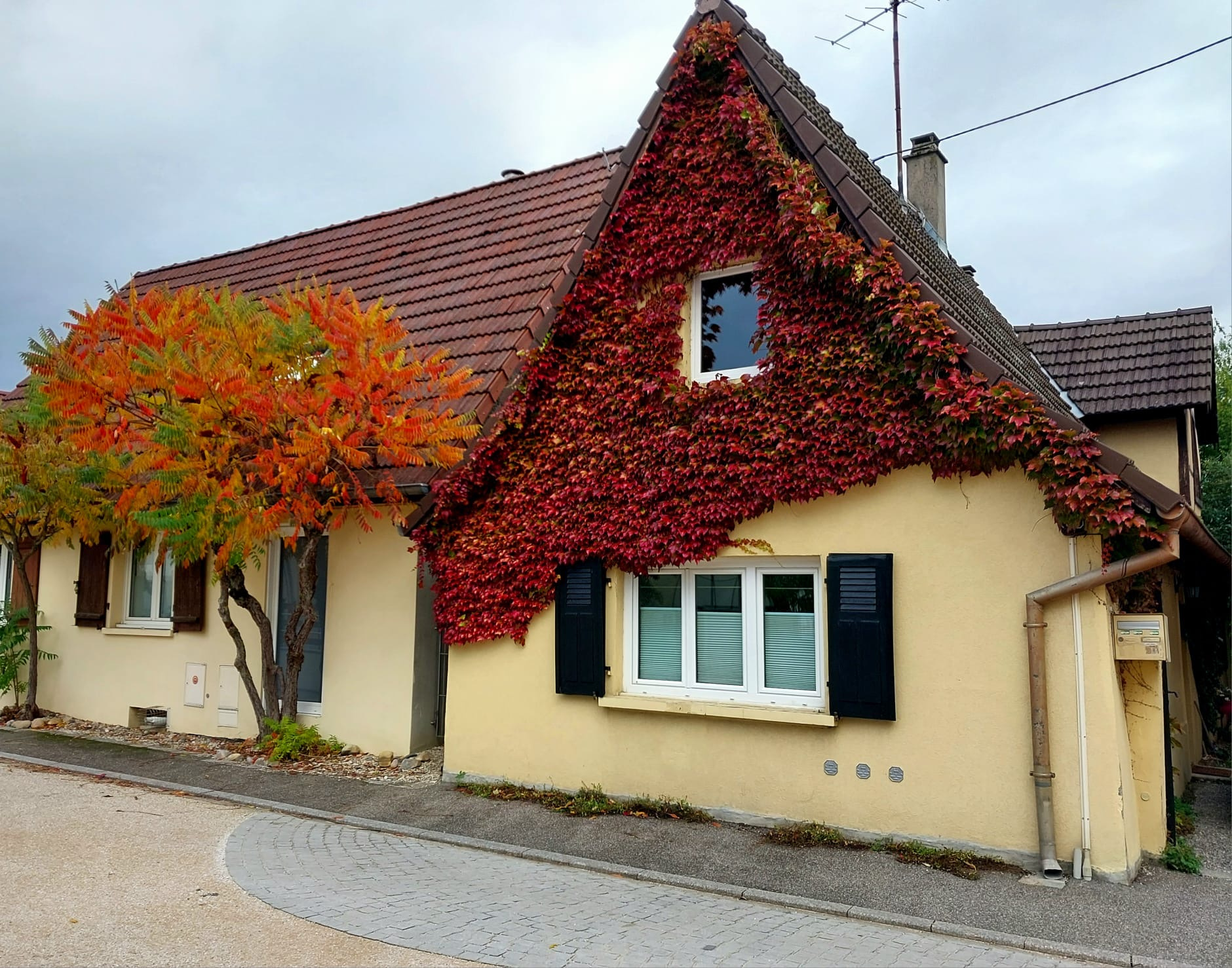 Agence immobilière de ORIM SARL 